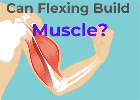 Can Flexing Build Muscle Diet Scan
