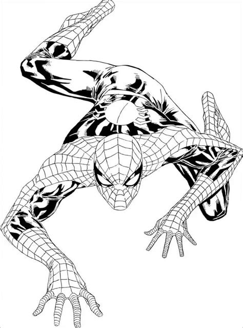 Omalovánka Spiderman Bezplatný Design K Vytisknutí Zdarma