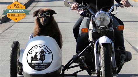 Riding a sidecar motorcycle is easier than you think. Sit Stay Ride: The Story of America's Sidecar Dogs ...