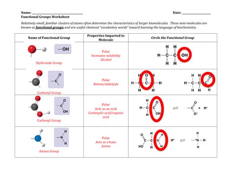 Identifying Functional Groups Worksheet With Answers Worksheets For