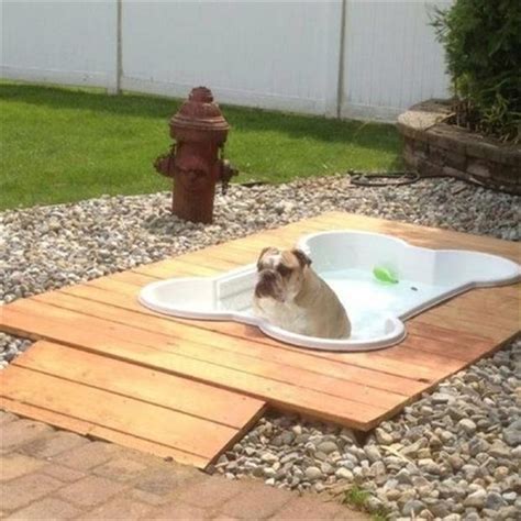 Tired of your dog destroying your lawn? fun outdoor dog pool garden ideas - Dump A Day