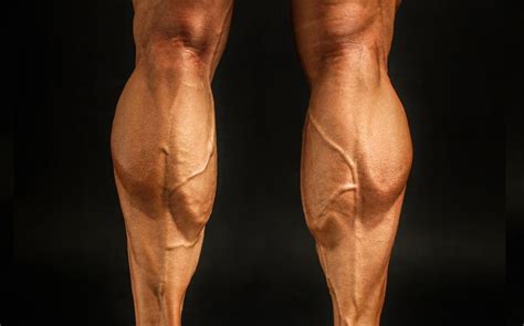 Are Calves Genetic Unlocking The Mystery Of Lower Leg Growth