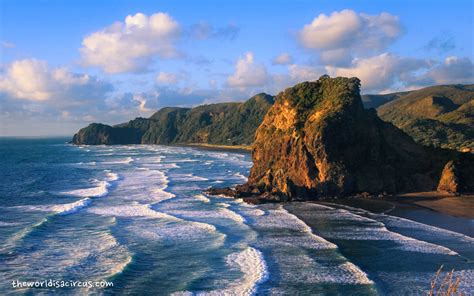 6 Reasons Why You Should Visit New Zealand in Spring