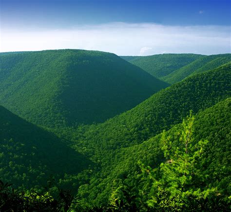 Youll Be Blown Away By These 10 Amazing State Forests In Pennsylvania