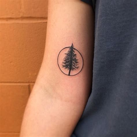 Pine Tree In Circle Tattoo Best Tattoo Ideas