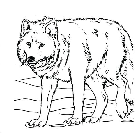Click on any baby animal to start coloring. Wolf Pup Coloring Pages at GetColorings.com | Free ...