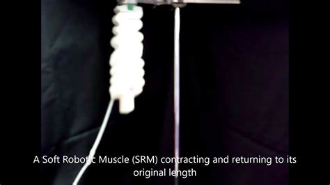 soft robotic artificial muscle youtube