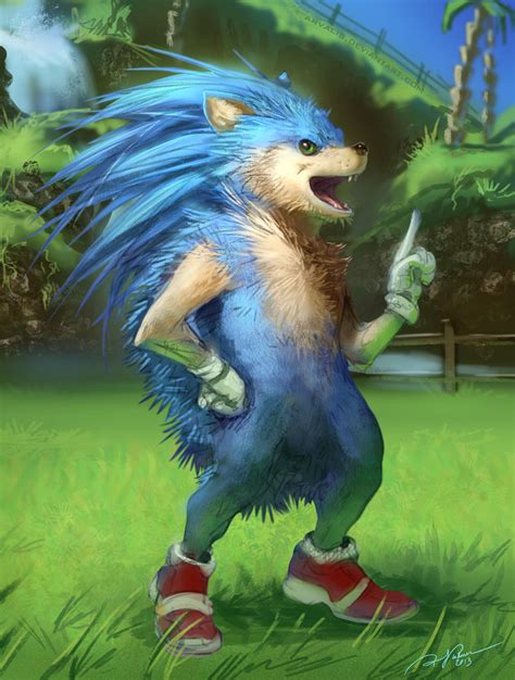 Sonic The Realhog By Arvalis On Deviantart