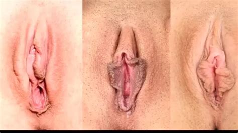 Heaven Of The Vaginas Vagina Types Vaginas Shooshtime