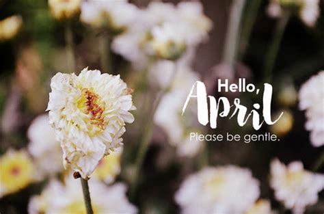 Hello April Please Be Gentle Pictures Photos And Images For Facebook