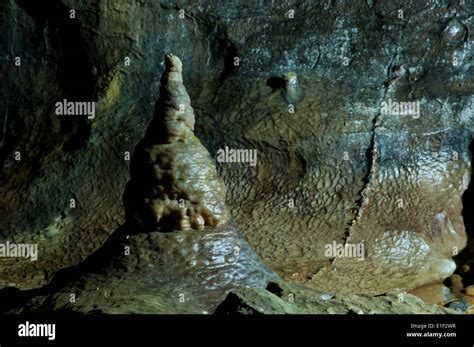 A Large Stalagmite Limestone Rock Formation In Ingleborough Cave Stock