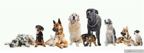 Pets And Animals Facebook Covers Myfbcovers