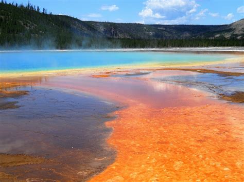 Photo Gratuite Yellowstone Parc National Image Gratuite Sur Pixabay