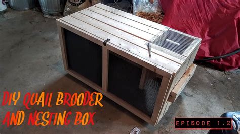 Our Diy Quail Broodernesting Box Youtube