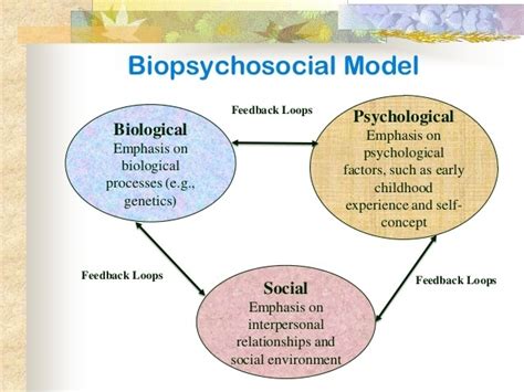 The Biopsychosocial Model Of Health