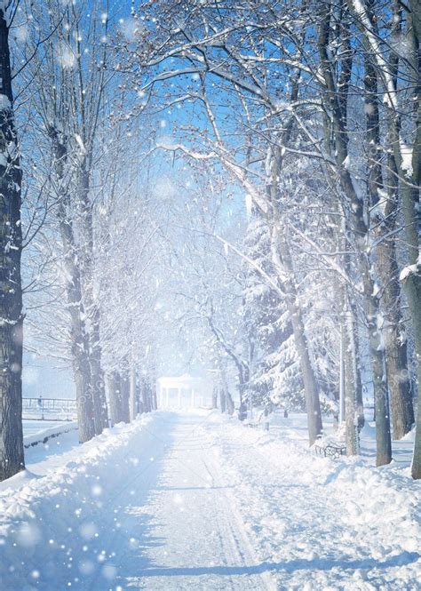Beautiful Winter Landscape With Snow Covered Trees — Stock Photo