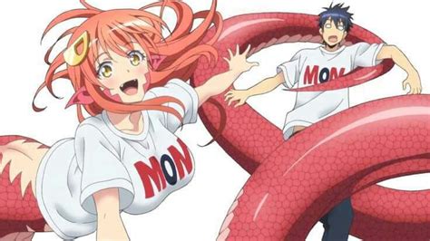 Monster Musume No Iru Nichijou Vida Cotidiana Con Chicas Monstruo