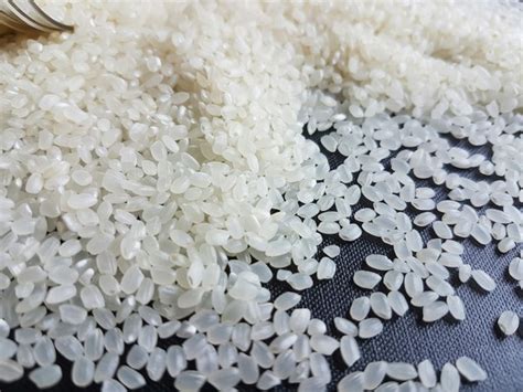 Japonica Round Rice Whosaler In Vietnam Japonica Rice Nutrition Rice