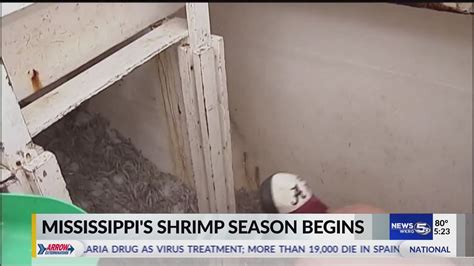 VIDEO MS Shrimping Season YouTube