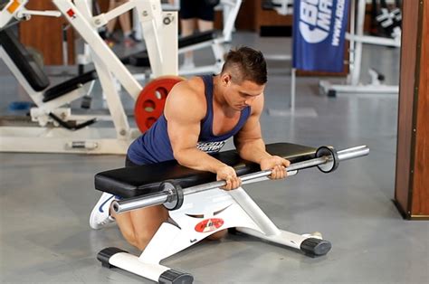 Palms Up Barbell Wrist Curl Over A Bench — How To Do It Video Of