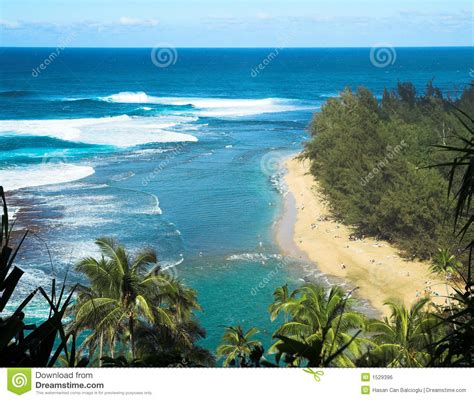 Tropical Beach In Kauai Hawaii Stock Photo Image Of Coastline Aerial 1529396