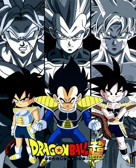 Kid Goku Vegeta And Broly Dragon Ball Super Anime Dragon Ball Super