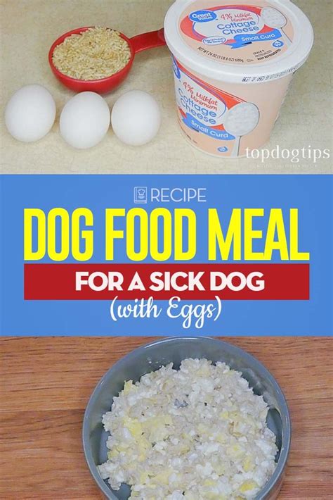 Recipe Dog Food Meal For Sick Dog With Eggs Top Dog Tips