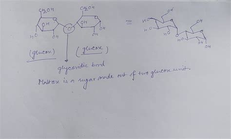 Solved Draw The Structure Of Maltose And Circle The Glycosidic Bond
