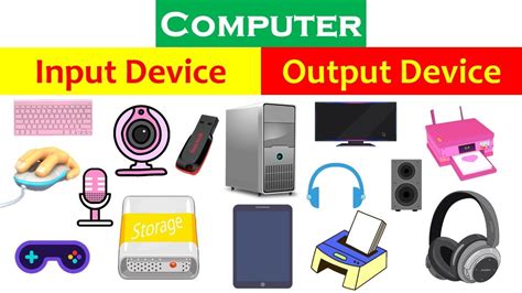 Input And Output Devices Of A Computer