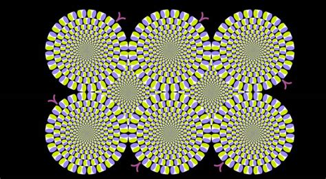 How Do Optical Illusions Work Neuroscience News