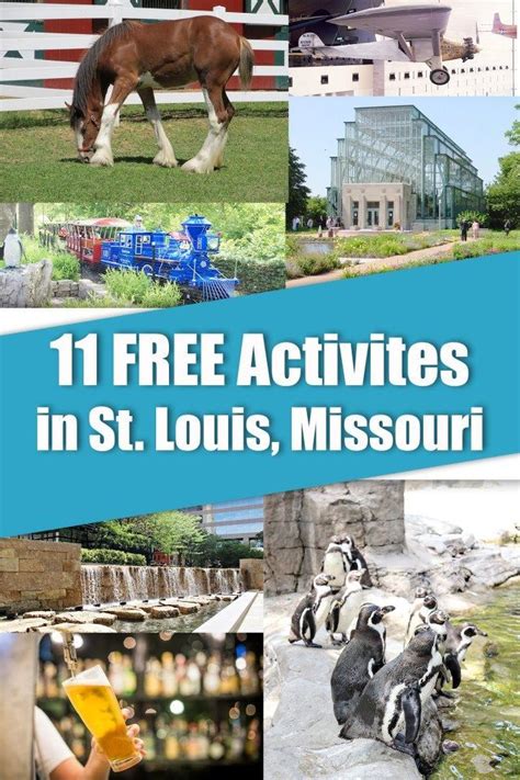 11 Free Activities In St Louis Missouri St Louis Activities St