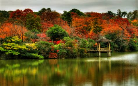 Autumn Time In Nature Free Desktop Wallpapers For