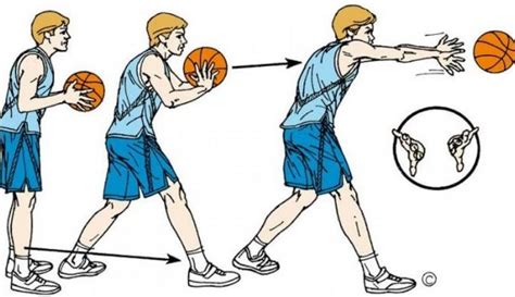 Teknik Dasar Passing Dalam Permainan Bola Basket Homecare