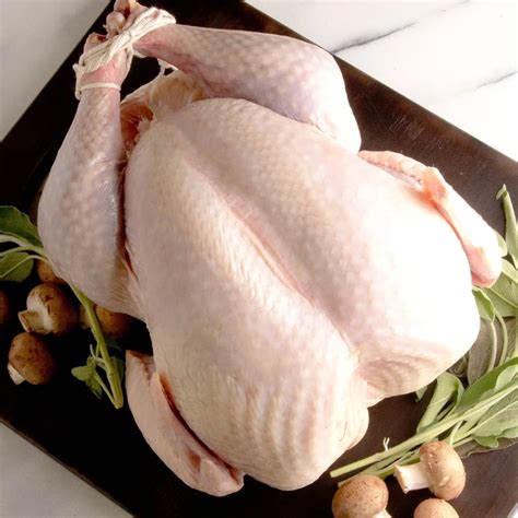 Naked Turkey Low Carb High Protein RADIANTPSYCHE