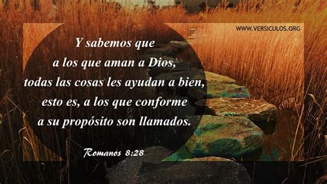 Versículo Del Día Romanos 828 Los Que Aman A Dios Todas Las Cosas