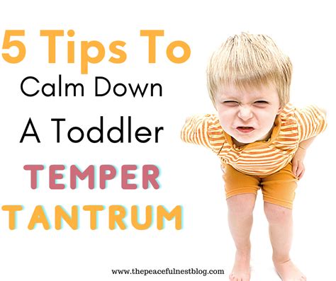How To Calm A Temper Tantrum The Peaceful Nest