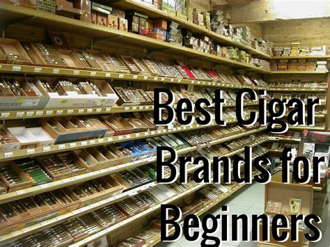 Best Cigar Brands for Beginners - Cigar Whisperer