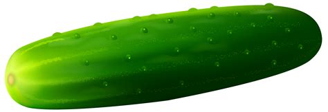 Cucumber Long And Big Png Transparent Image Download Size 3500x1205px