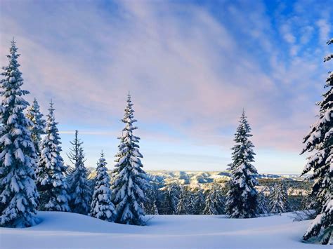 Natureza Paisagens Montanhas Montanhas árvores Florestas Inverno Neve