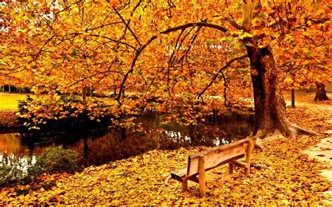 Look At The Wonderful Colors Of Fall Autumn Photography Modern