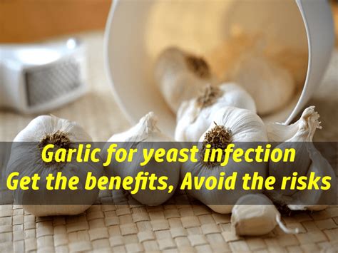 The main side effects you could experience taking garlic are minor digestive issues, heartburn, and the notorious odor that garlic gives off. Garlic for yeast infection cure - benefits vs. side ...