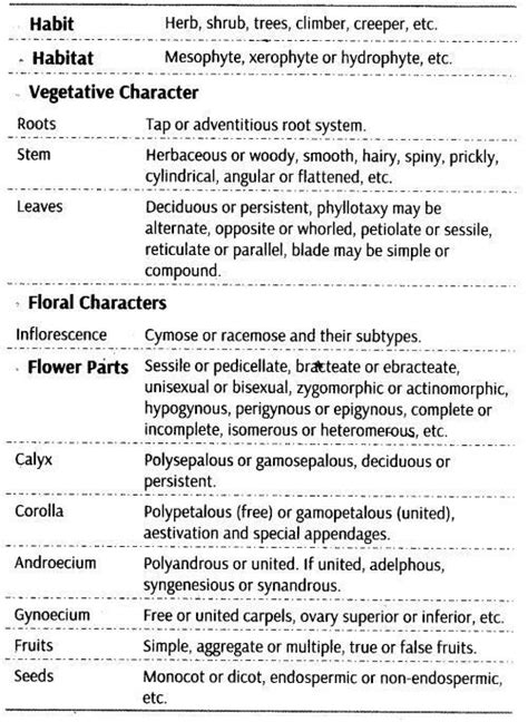 Morphology Of Flowering Plants Cbse Notes For Class 11 Biology Cbse