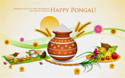 Pongal Images Pictures And Wishes 2023 Thai Pongal Festival History
