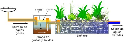 Biofiltro De Aguas Grises ¿que Es Un Filtro El Filtro De Aguas Grises