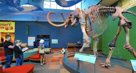 Florida Museum Of Natural History A Gem Of Gainesville Orlando Sentinel
