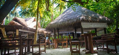 Biyadhoo Island Resort Maldives Holidays Pure Destinations