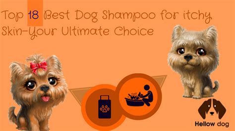 Not only will dry skin irritate your pet, it could lead to more serious health troubles if left untreated. Top 18 Best Dog Shampoo for Itchy Skin-Your Ultimate ...