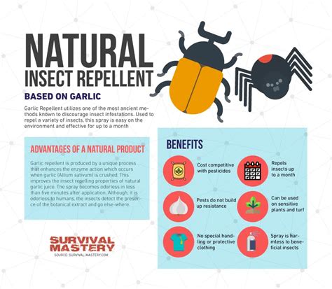Best Mosquito Repellent The Best Repellents And Tips Vs Mosquitoes