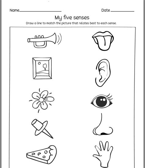 5 Senses Matching Worksheet
