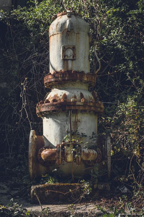 Monfero Spain April 1 2015 Rusty Valve Surrounded By Undergrowth